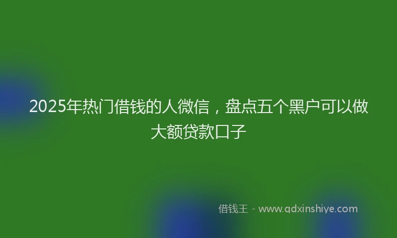 2025年热门借钱的人微信，盘点五个黑户可以做大额贷款口子