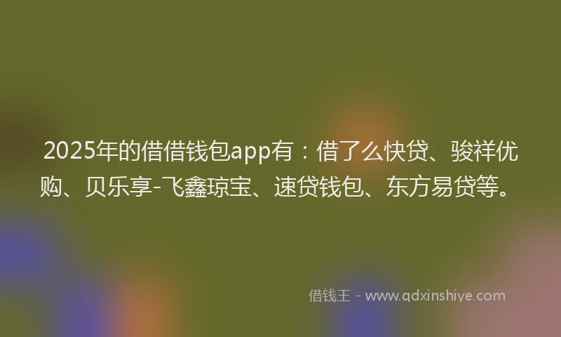 2025年的借借钱包app有：借了么快贷、骏祥优购、贝乐享-飞鑫琼宝、速贷钱包、东方易贷等。
