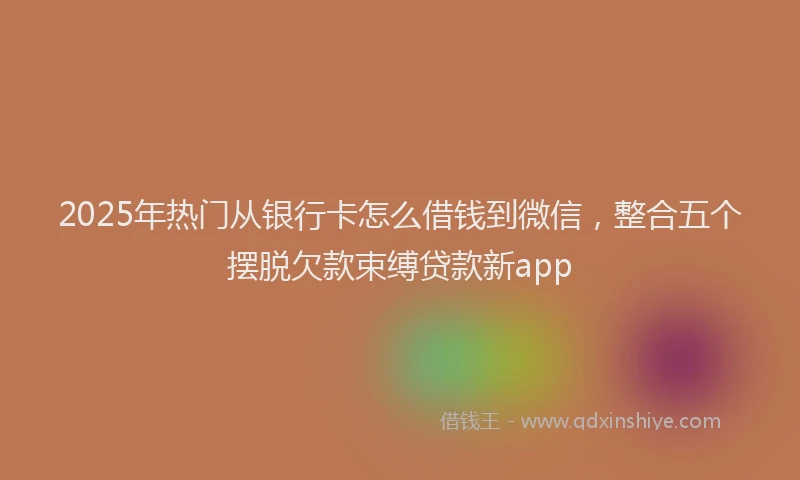 2025年热门从银行卡怎么借钱到微信，整合五个摆脱欠款束缚贷款新app
