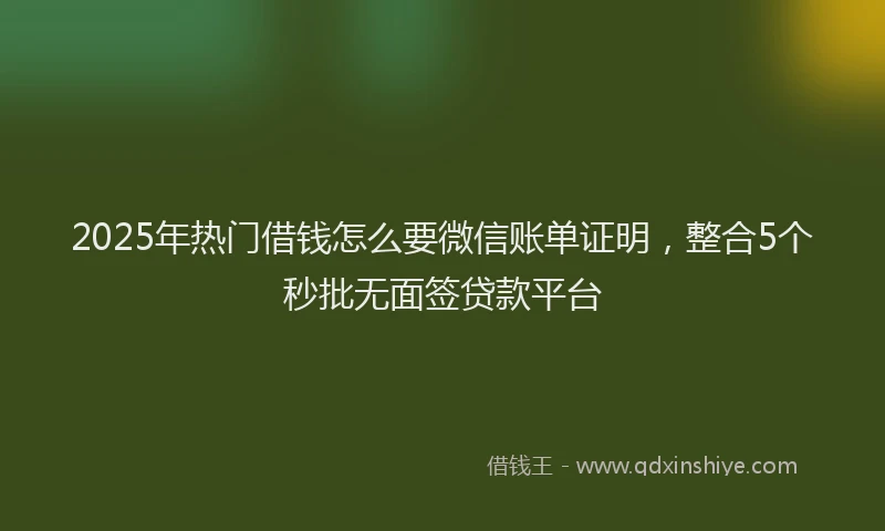 2025年热门借钱怎么要微信账单证明，整合5个秒批无面签贷款平台
