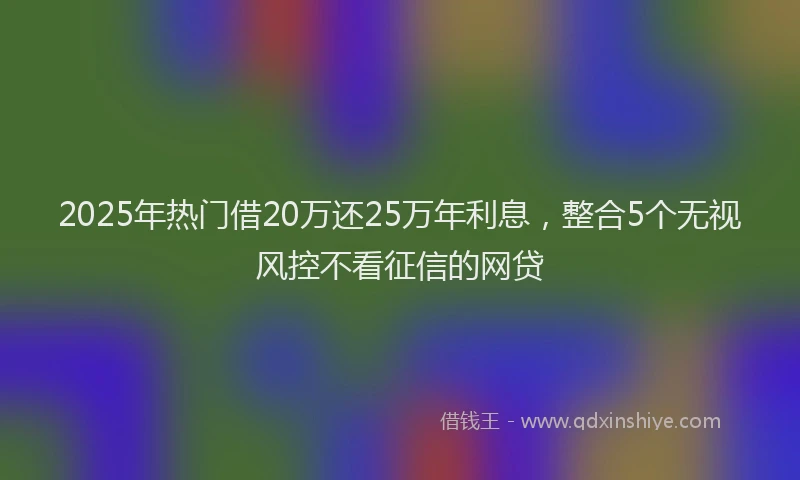 2025年热门借20万还25万年利息，整合5个无视风控不看征信的网贷