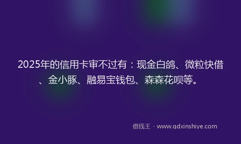 2025年的信用卡审不过有：现金白鸽、微粒快借、金小豚、融易宝钱包、森森花呗等。