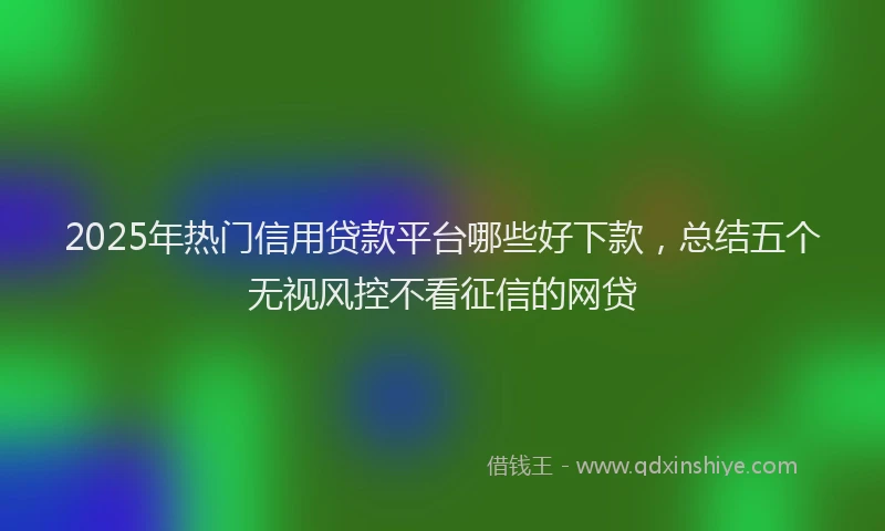 2025年热门信用贷款平台哪些好下款，总结五个无视风控不看征信的网贷