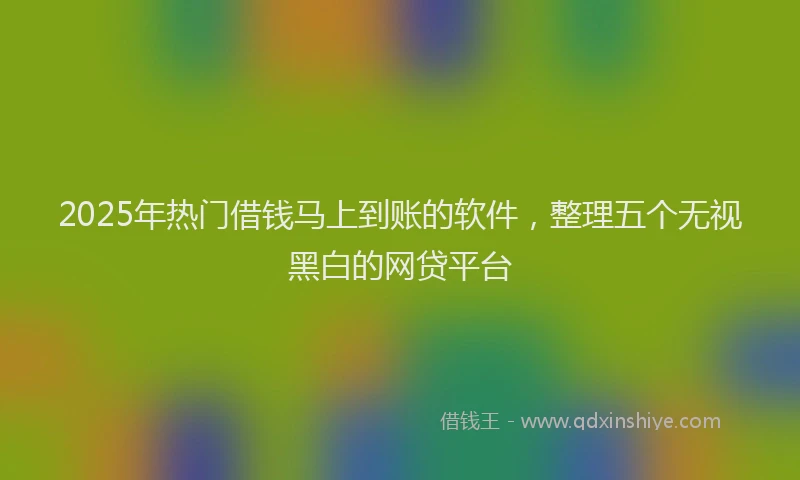 2025年热门借钱马上到账的软件，整理五个无视黑白的网贷平台