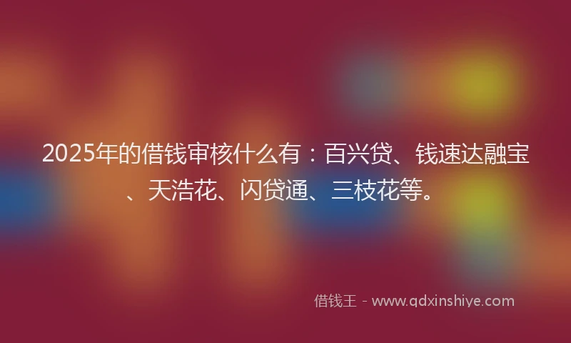 2025年的借钱审核什么有：百兴贷、钱速达融宝、天浩花、闪贷通、三枝花等。