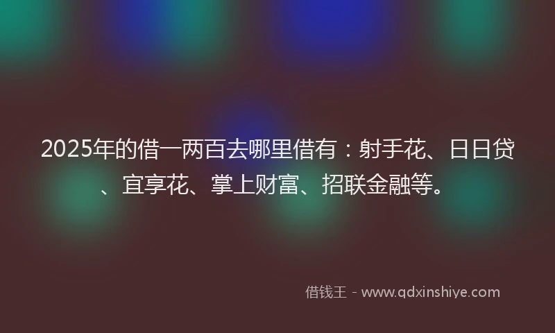 2025年的借一两百去哪里借有：射手花、日日贷、宜享花、掌上财富、招联金融等。