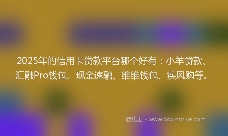 2025年的信用卡贷款平台哪个好有：小羊贷款、汇融Pro钱包、现金速融、维维钱包、疾风购等。