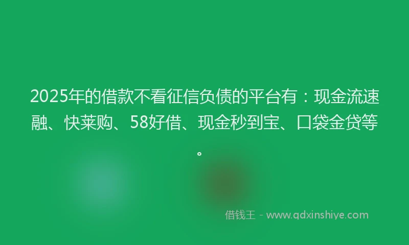2025年的借款不看征信负债的平台有：现金流速融、快莱购、58好借、现金秒到宝、口袋金贷等。