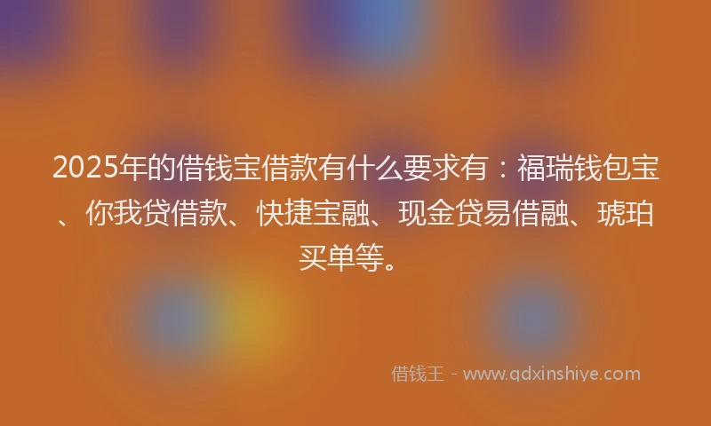 2025年的借钱宝借款有什么要求有：福瑞钱包宝、你我贷借款、快捷宝融、现金贷易借融、琥珀买单等。