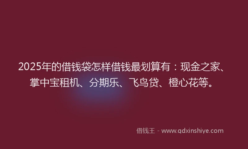 2025年的借钱袋怎样借钱最划算有：现金之家、掌中宝租机、分期乐、飞鸟贷、橙心花等。