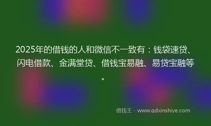 2025年的借钱的人和微信不一致有：钱袋速贷、闪电借款、金满堂贷、借钱宝易融、易贷宝融等。