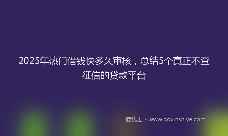 2025年热门借钱快多久审核，总结5个真正不查征信的贷款平台