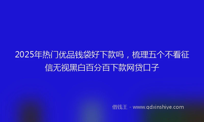 2025年热门优品钱袋好下款吗，梳理五个不看征信无视黑白百分百下款网贷口子