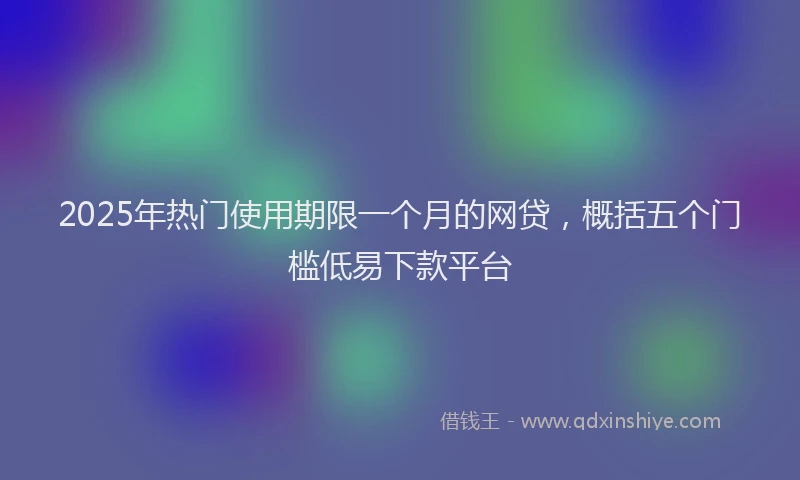 2025年热门使用期限一个月的网贷，概括五个门槛低易下款平台