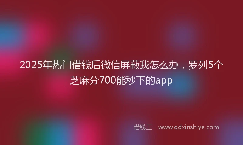 2025年热门借钱后微信屏蔽我怎么办，罗列5个芝麻分700能秒下的app