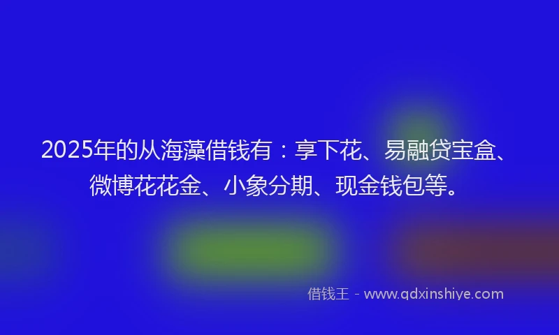 2025年的从海藻借钱有：享下花、易融贷宝盒、微博花花金、小象分期、现金钱包等。