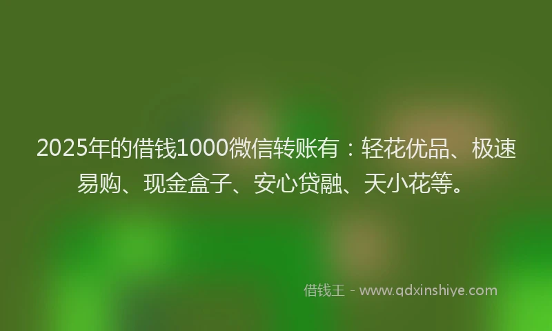 2025年的借钱1000微信转账有：轻花优品、极速易购、现金盒子、安心贷融、天小花等。