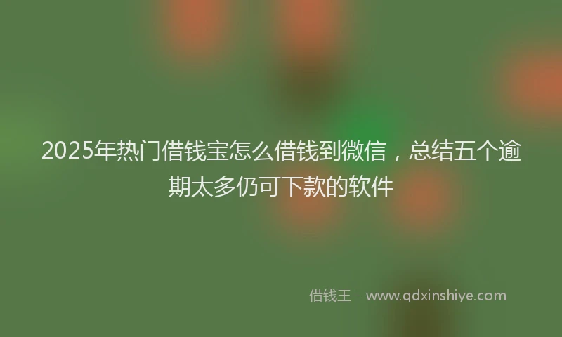 2025年热门借钱宝怎么借钱到微信，总结五个逾期太多仍可下款的软件