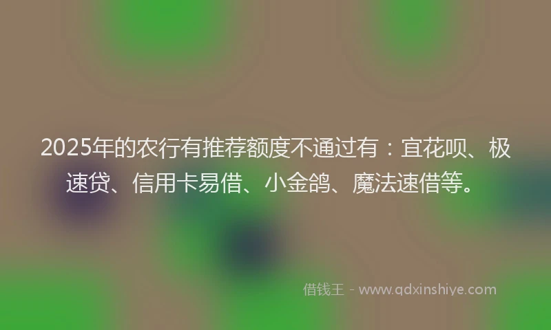 2025年的农行有推荐额度不通过有：宜花呗、极速贷、信用卡易借、小金鸽、魔法速借等。