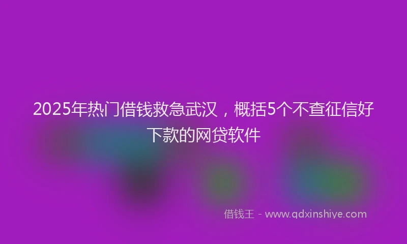 2025年热门借钱救急武汉，概括5个不查征信好下款的网贷软件