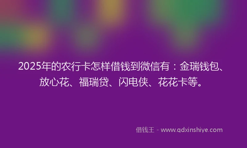 2025年的农行卡怎样借钱到微信有：金瑞钱包、放心花、福瑞贷、闪电侠、花花卡等。