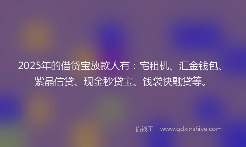 2025年的借贷宝放款人有：宅租机、汇金钱包、紫晶信贷、现金秒贷宝、钱袋快融贷等。