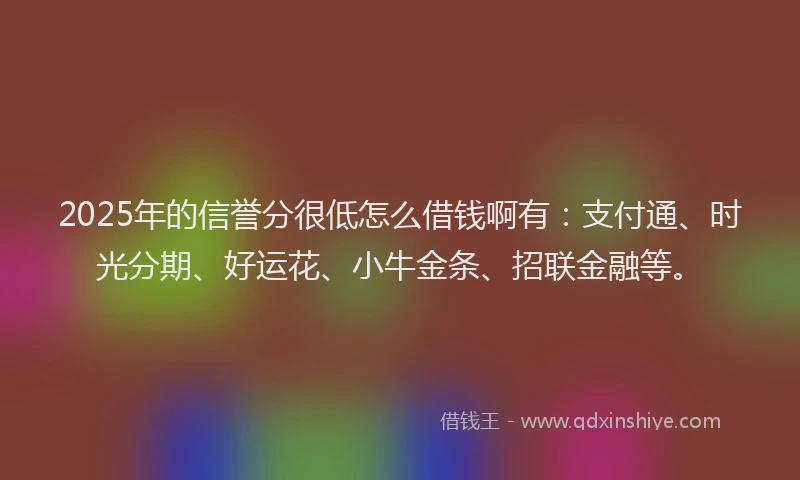 2025年的信誉分很低怎么借钱啊有：支付通、时光分期、好运花、小牛金条、招联金融等。