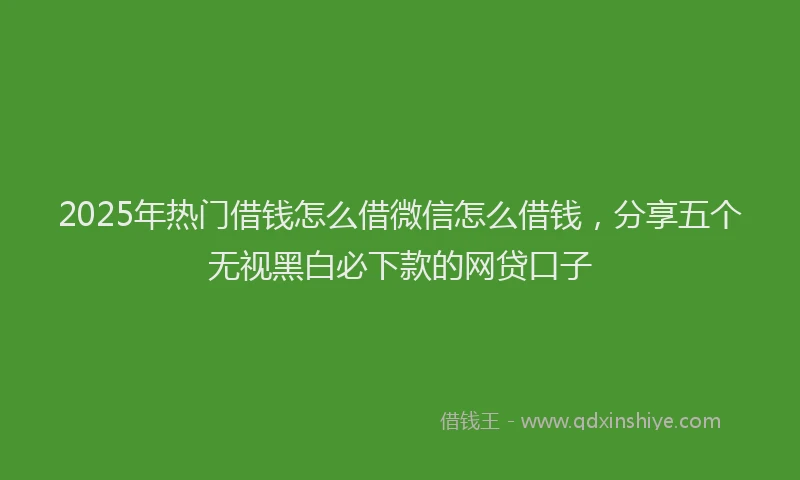 2025年热门借钱怎么借微信怎么借钱，分享五个无视黑白必下款的网贷口子