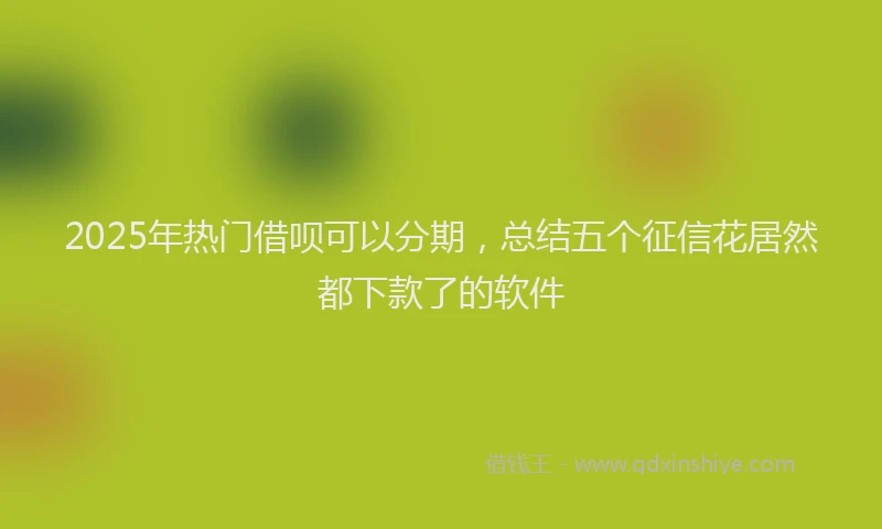 2025年热门借呗可以分期，总结五个征信花居然都下款了的软件