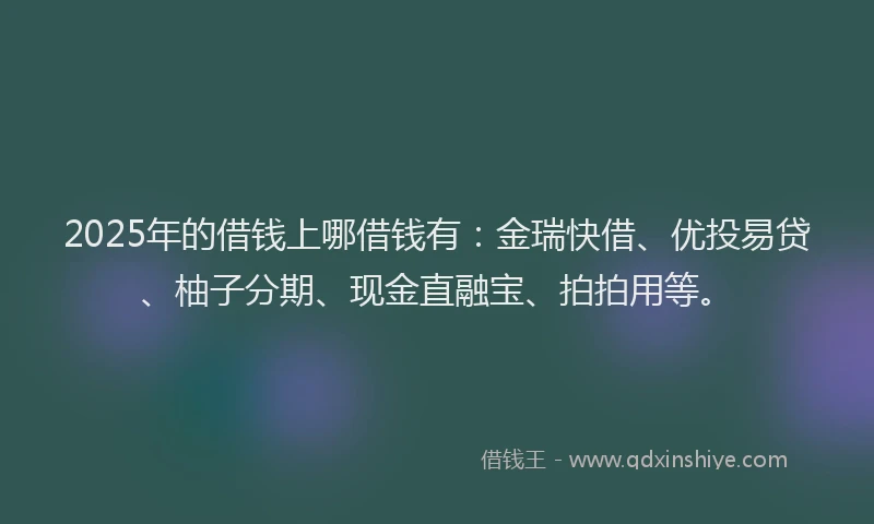 2025年的借钱上哪借钱有：金瑞快借、优投易贷、柚子分期、现金直融宝、拍拍用等。