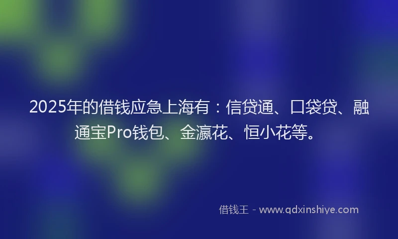 2025年的借钱应急上海有：信贷通、口袋贷、融通宝Pro钱包、金瀛花、恒小花等。