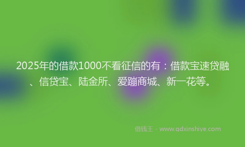 2025年的借款1000不看征信的有：借款宝速贷融、信贷宝、陆金所、爱蹦商城、新一花等。