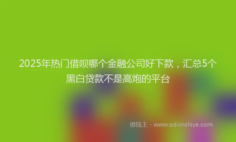 2025年热门借呗哪个金融公司好下款，汇总5个黑白贷款不是高炮的平台