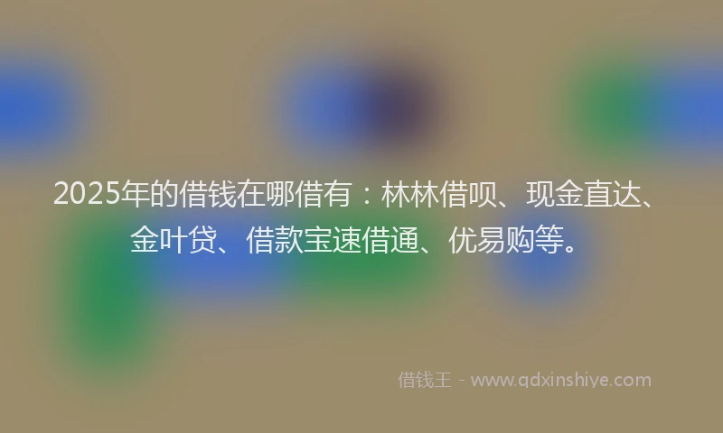 2025年的借钱在哪借有：林林借呗、现金直达、金叶贷、借款宝速借通、优易购等。