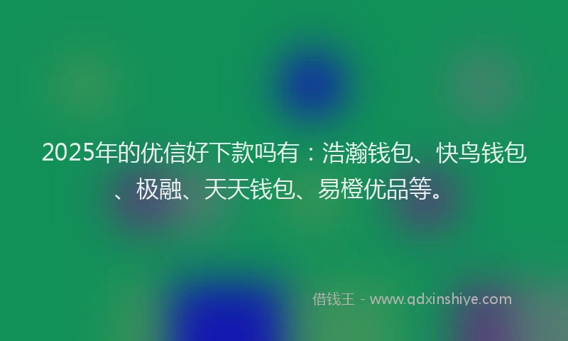 2025年的优信好下款吗有：浩瀚钱包、快鸟钱包、极融、天天钱包、易橙优品等。