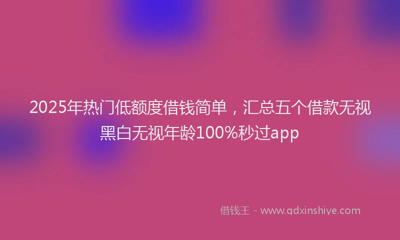 2025年热门低额度借钱简单，汇总五个借款无视黑白无视年龄100%秒过app