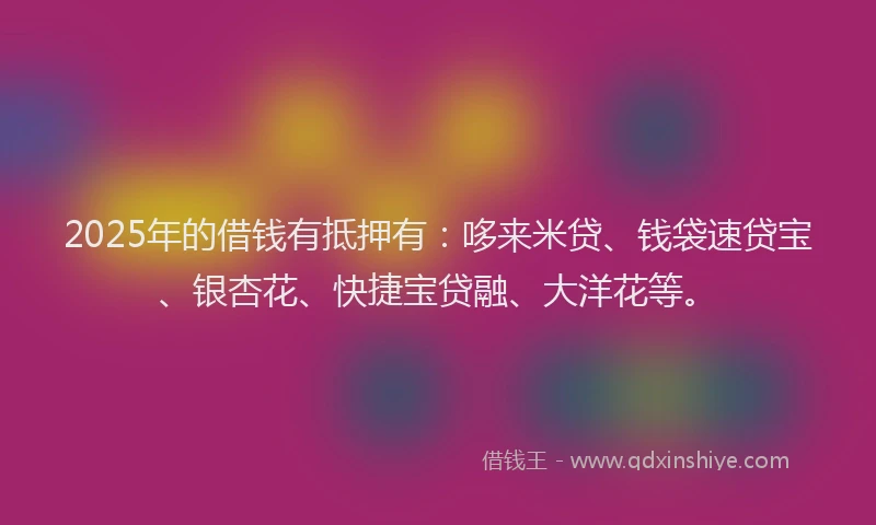 2025年的借钱有抵押有：哆来米贷、钱袋速贷宝、银杏花、快捷宝贷融、大洋花等。