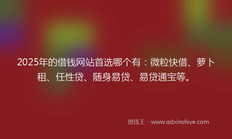 2025年的借钱网站首选哪个有：微粒快借、萝卜租、任性贷、随身易贷、易贷通宝等。