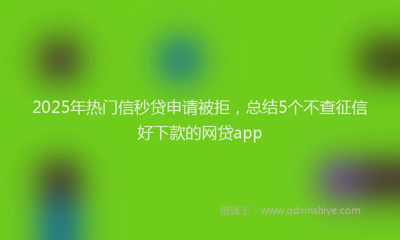 2025年热门信秒贷申请被拒，总结5个不查征信好下款的网贷app