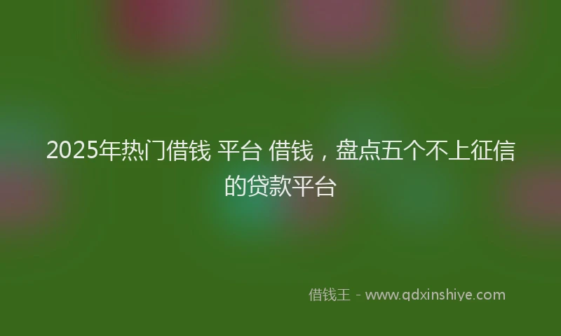 2025年热门借钱 平台 借钱，盘点五个不上征信的贷款平台