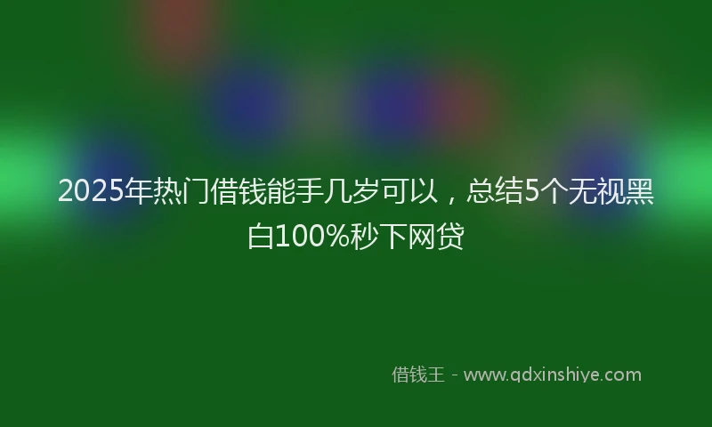 2025年热门借钱能手几岁可以，总结5个无视黑白100%秒下网贷