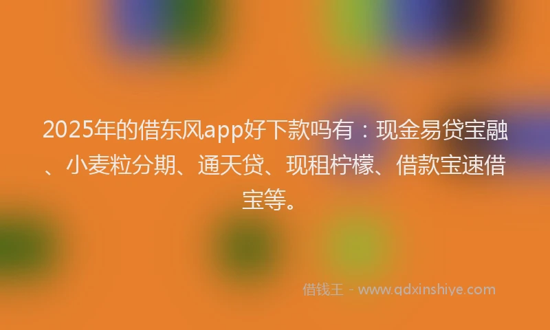 2025年的借东风app好下款吗有：现金易贷宝融、小麦粒分期、通天贷、现租柠檬、借款宝速借宝等。