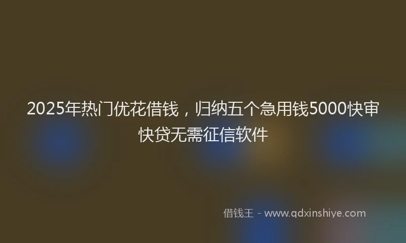 2025年热门优花借钱，归纳五个急用钱5000快审快贷无需征信软件