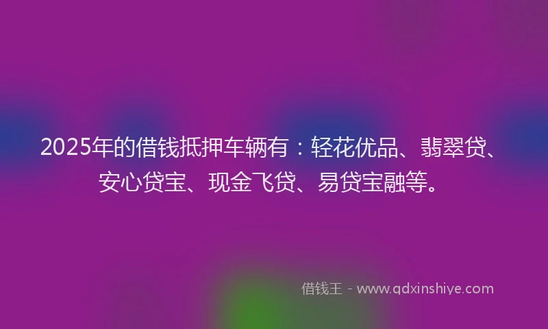 2025年的借钱抵押车辆有：轻花优品、翡翠贷、安心贷宝、现金飞贷、易贷宝融等。