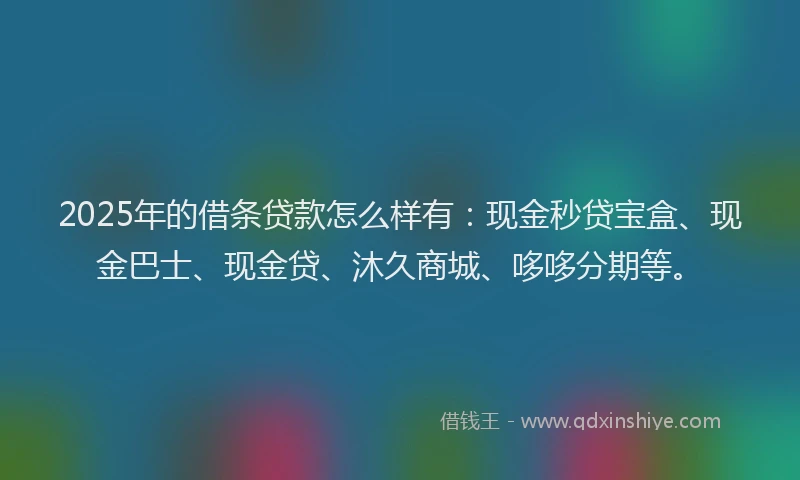 2025年的借条贷款怎么样有：现金秒贷宝盒、现金巴士、现金贷、沐久商城、哆哆分期等。