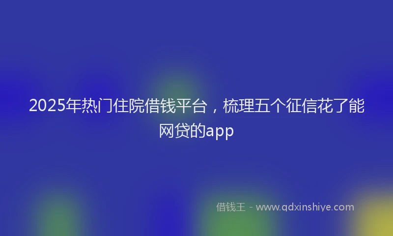 2025年热门住院借钱平台，梳理五个征信花了能网贷的app