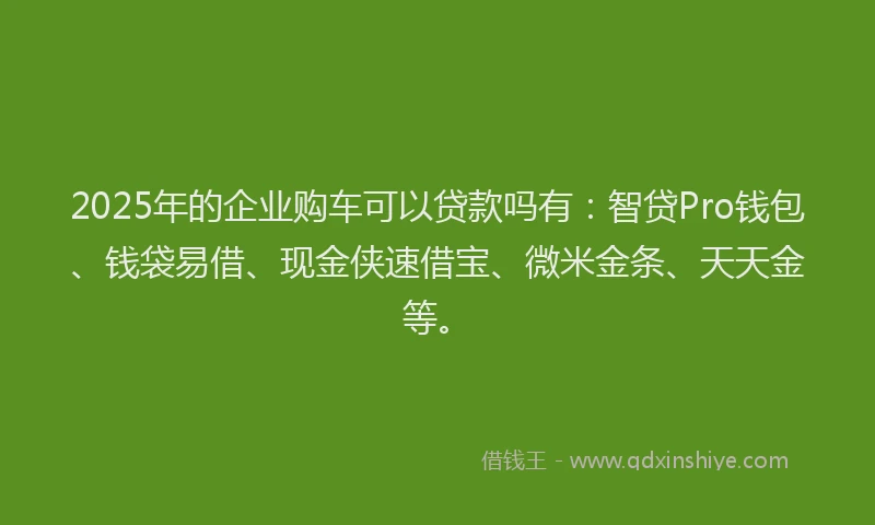 2025年的企业购车可以贷款吗有：智贷Pro钱包、钱袋易借、现金侠速借宝、微米金条、天天金等。