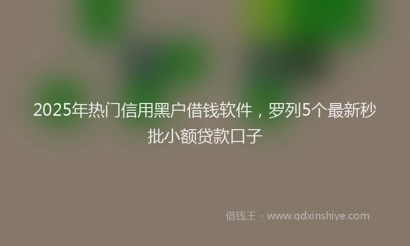 2025年热门信用黑户借钱软件，罗列5个最新秒批小额贷款口子