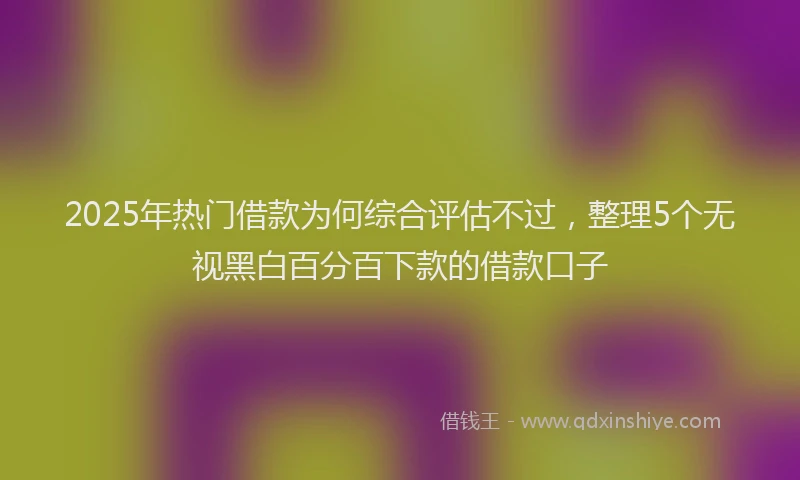 2025年热门借款为何综合评估不过，整理5个无视黑白百分百下款的借款口子