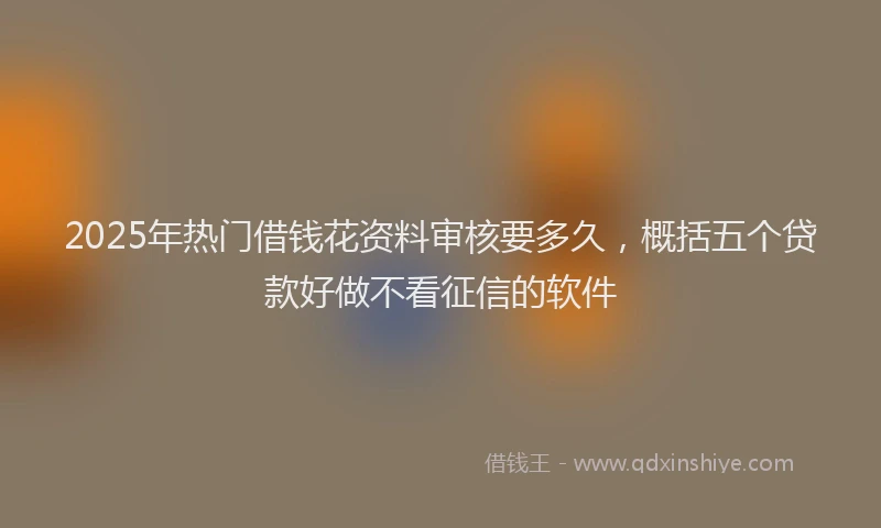 2025年热门借钱花资料审核要多久，概括五个贷款好做不看征信的软件